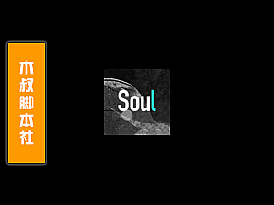 「免Root支持试用」Soul匹配私信引流脚本v210116