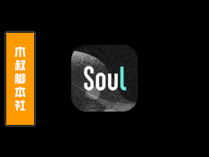 Soul【自动打招呼丨自动广场私信丨自动匹配】脚本-木叔脚本