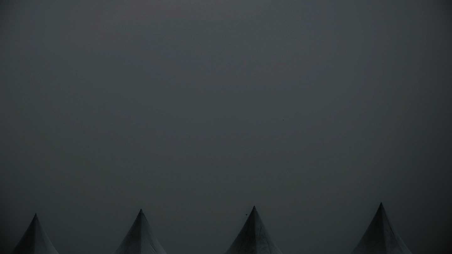 
豪猪接码：助力远离营销骚扰
-木叔脚本